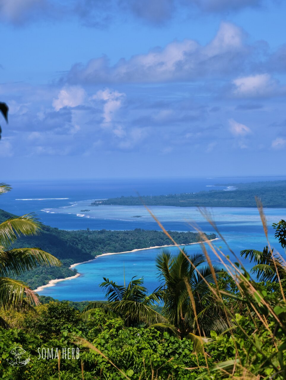 Green Flow – Instant Kava (Vanuatu) 250 g